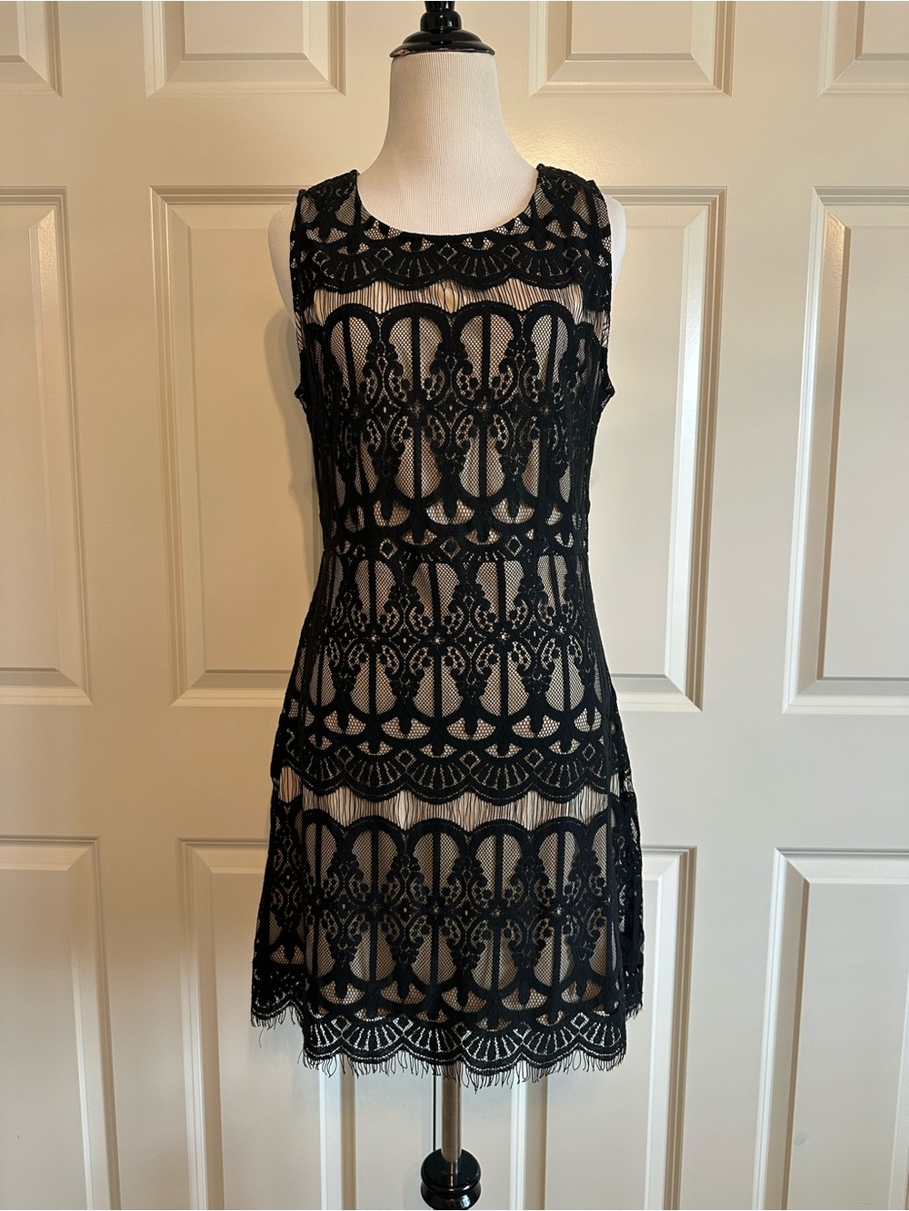 Sleeveless Black Lace Overlay Dress by Blu Pepper